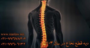 دیه قطع نخاع در سال 1403